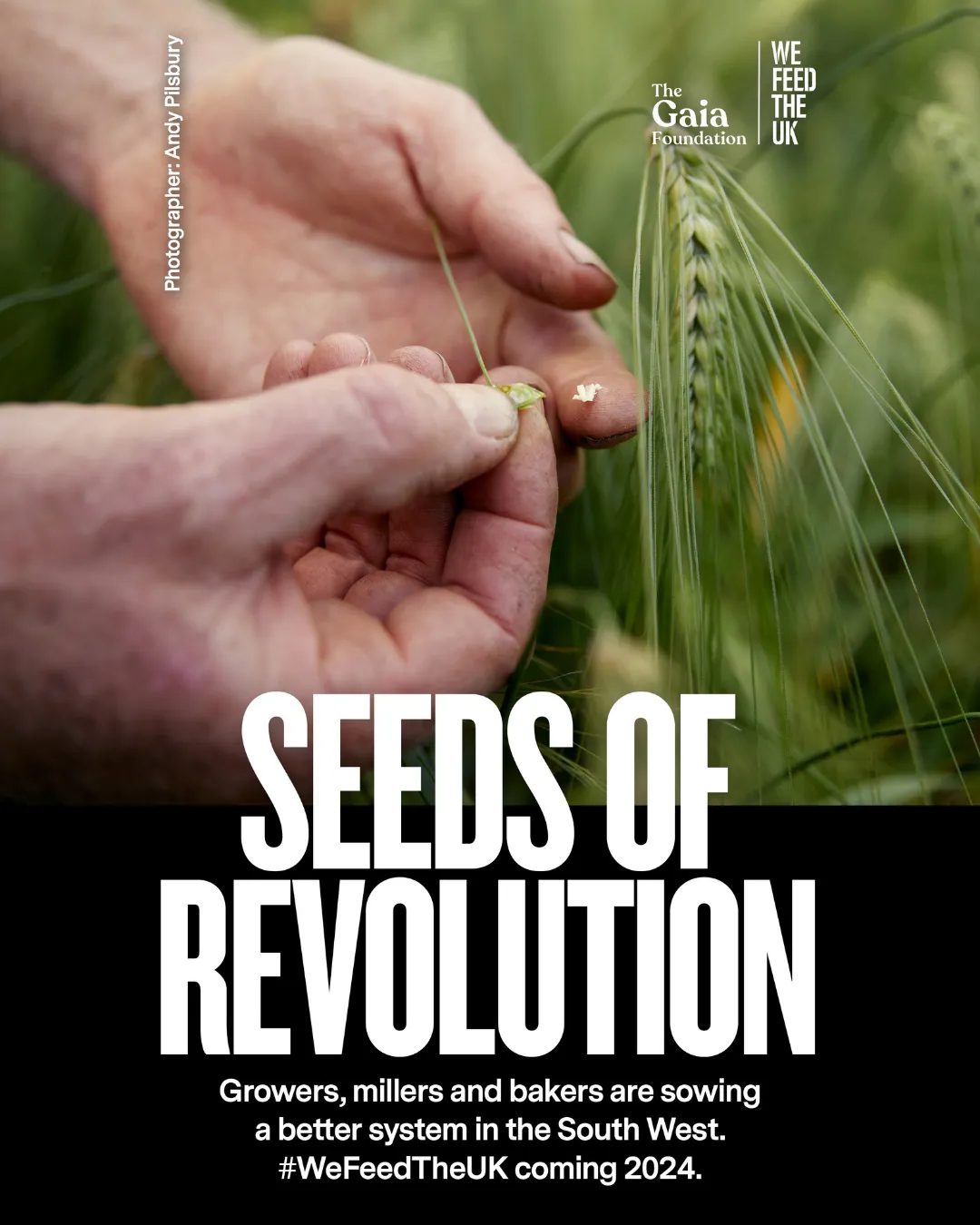 We Feed the UK Seeds of Revolution