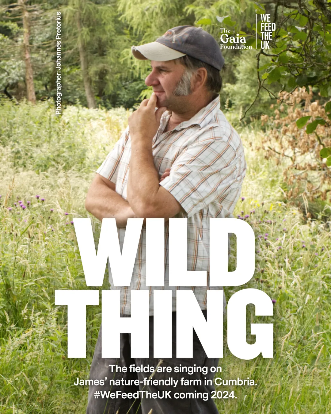 We Feed the UK Wild Thing