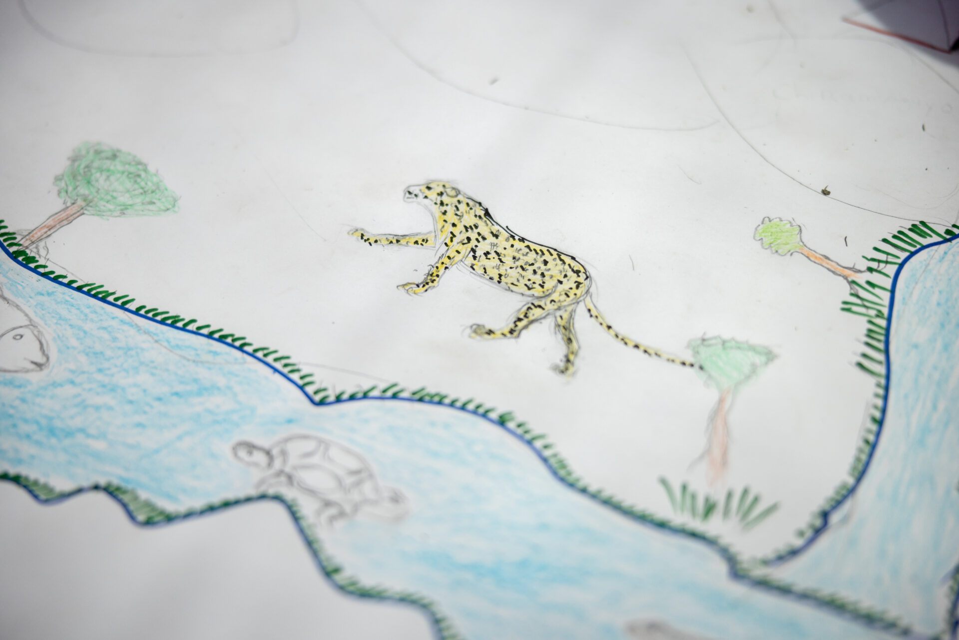 A detail of the ancestral map revealing the abundance of wild ones that once lived alongside people across the lands and waters of Zimbabwe, by Simon de Swardt